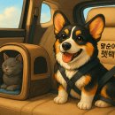 말순이네 이미지