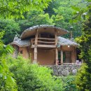 산골산내음 이미지