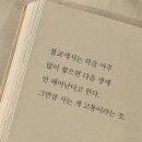 잔원유림 | 8월 : I will always love you