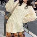 H1013 이미지