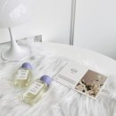 스테이원 | 신상 향수 공방 스테이센트 대전 원데이 클래스 후기