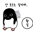 제제펜션 이미지