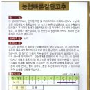 2023-02-0004 - 화성시 만세구 | 농협빠른칼탄고추 품종 정보