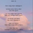 바람의기억 이미지