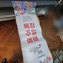제이엑스필름