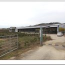 차오름한우농장 이미지