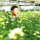 구광회농장 이미지