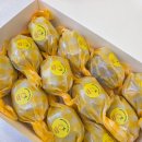 앙버터데이(ANBUTTERDAY)