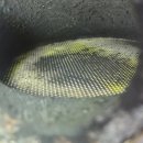 대현모터스 이미지