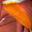 워너짐 장전 이미지