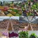 부영다육농장 이미지