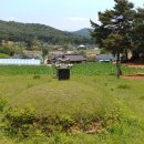 고운몸