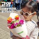 ㈜마이모터 | 고양꽃박람회 : 주차장/주차정보/플라워마켓 (5/1 주차성공/입장실패&amp;포기 리얼후기)