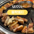 동락 | 광화문삼겹살 맛집 동락돼지 방문 후기