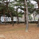 성보촌 캠핑장 이미지