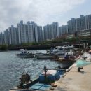 용호동 섶자리 이미지