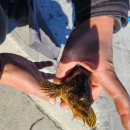 신은하반점 이미지