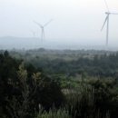 모구리야영장(체력단련장) 이미지