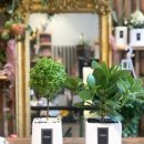 더블라썸플라워샵 이미지