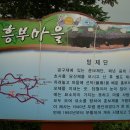 흥부가 기가막혀 Daum카페