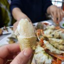 머구리 이미지