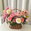 더피우리 이미지