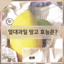 주식회사리치망고