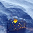 기체조(단전호흡) | 울산명상)자신을 정말로 사랑하는 방법은??