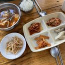 뚱보보쌈 백반 | [제주여행] 제주 현지인 맛집 영해식당 Since 1954 역사 깊은 제주 백반집
