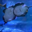 장기로 | 광양시 청년도전지원사업 장기 참여 솔직 후기