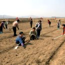 조선시대 이미지