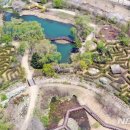 문경새재 생태미로공원 이미지