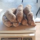 가지산천마영농조합 이미지