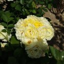 성당우방아파트 이미지