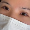 향남 라라뷰티아뜰리에 :: 꼬막눈 탈출, 속눈썹펌 솔직후기