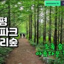 양평쉬자파크 이미지