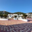 신양항 광장 이미지