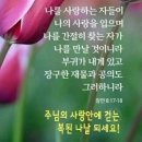 샬롬 - 순천시 | 샬롬