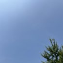 포항스파이더클럽 | 포항 골프매장 중고 사러 갔다가 가성비 풀세트로 라운딩 갈 준비완료