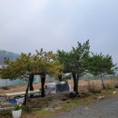 율이리농장 이미지