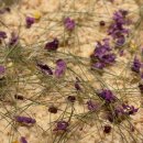 홈 스튜디오 원데이클래스 이미지