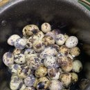 양평메추리농장 이미지