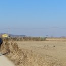 머르메가는길 이미지