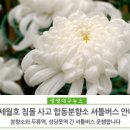서부유도관 이미지