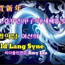 2023년을보내며/석별의정(이선희)//Auld Lang Syne(바이올린) 이미지