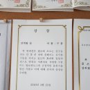 알로하도그 이미지