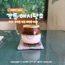 백합다방 - 당진시 대호만로 1741 | 강릉 초당동 카페 애시당초 : 레트로 빈티지 카페 웨이팅 주차 방법은?