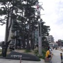 강원도 강릉 안목 해수욕장 이미지