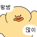 카페봄꿈 이미지