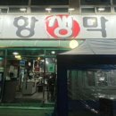 장성동포항생막창